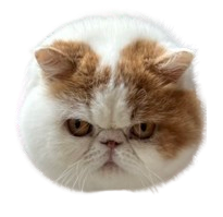 Alexis' cat, Frederick Winston
